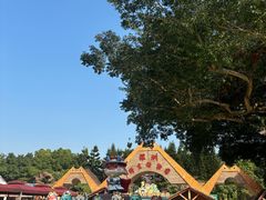 -深圳野生动物园