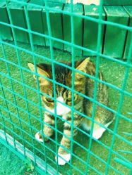 -萌宠亲子动物乐园(槐房万达店)