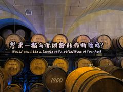 -龙谕酒庄