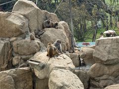 -西安秦岭野生动物园