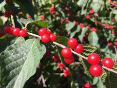 -长春公园(普阳街道)