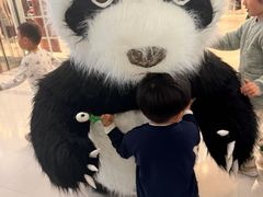 -眉州东坡·熊猫主题餐厅(枫蓝店)