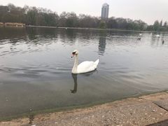 -海德公园