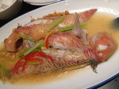 -吴记富苑(朝阳店)