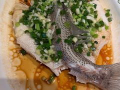 -佬肥猫·浙江乡村菜(国华广场店)
