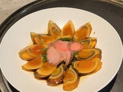 -新渝城·川菜·火锅(区庄店)