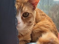 -S Team剧情密室(杭州龙翔桥店)