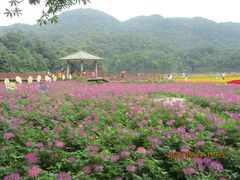 -广州市石门国家森林公园