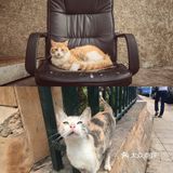 摩洛哥Ⅰ90%的人错过了这个美丽的城市