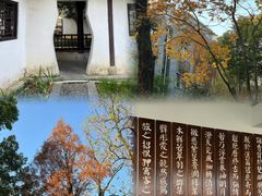 -墨池公园