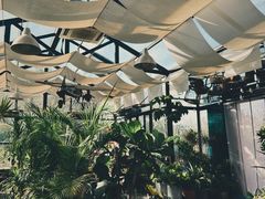 -北马山庄植趣咖啡