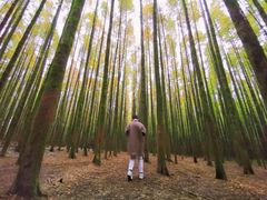 -山王坪喀斯特国家生态公园