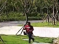 -上海浦江郊野公园-2号停车场