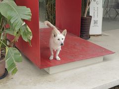 -三山岛