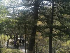 -玉渡山自然风景区