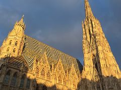 -斯蒂芬主教座堂(Stephansdom)