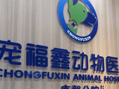 -宠福鑫康馨动物医院·骨科·眼科