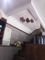 -红人馆造型十添