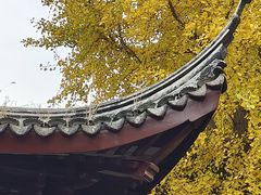 -檀园