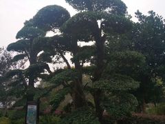 -武汉紫薇都市田园