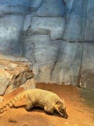 -Zoolung Zoolung动物主题公园(海信广场店)