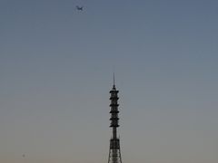 -南汇新城海滩