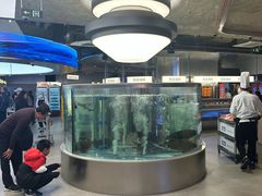 -海底捞大排档火锅(打浦路店)