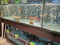 -鹏城人家海鲜酒家·23年老字号(较场尾店)