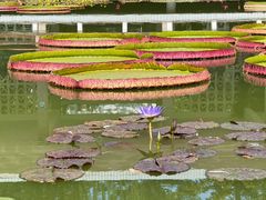 -国家植物园南园