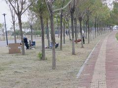 -天津妈祖文化园