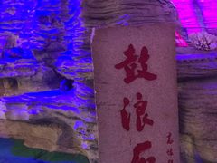 -贝壳梦幻世界