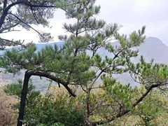 -青州仰天山