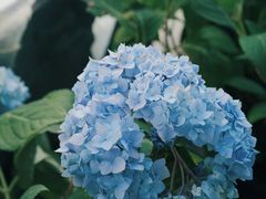 -寂照庵