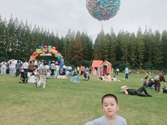 -黄海国家森林公园