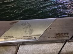 -星光大道