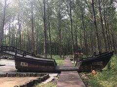 -黄海国家森林公园