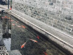 -前童古镇
