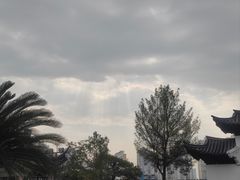 -江心屿景区