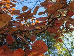 -北京西山国家森林公园