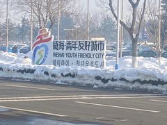 -威海大水泊国际机场