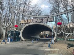 -枫花园汽车电影院(朝阳公园店)