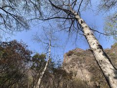 -玉渡山自然风景区