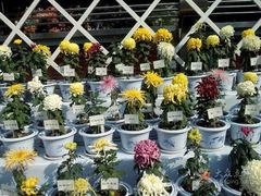 iphone_upload_pic-迎泽公园