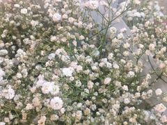 -全家便利店(沪青平公路四店)