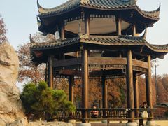 -东湖落雁景区