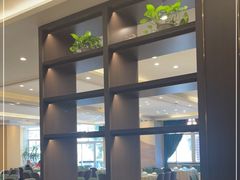 -刘胖子家常菜·蹄花焖藕(兴业店)