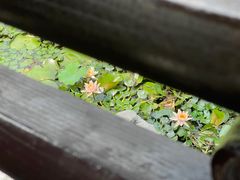 -衣裳街历史文化街区