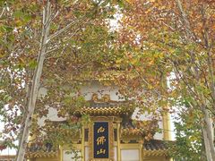 -白佛山景区