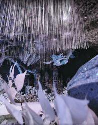 -华东饭店·园林式婚礼宴会厅酒店