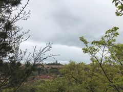 -青岛德国总督楼旧址博物馆